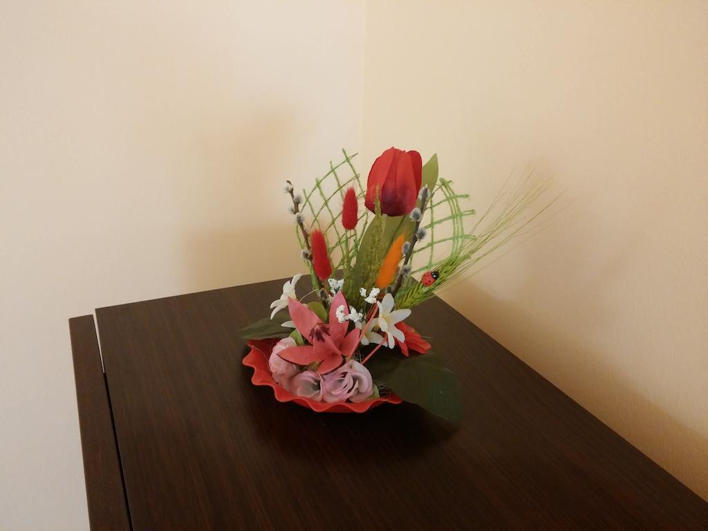 Premier Apartment Satu Mare Zewnętrze zdjęcie