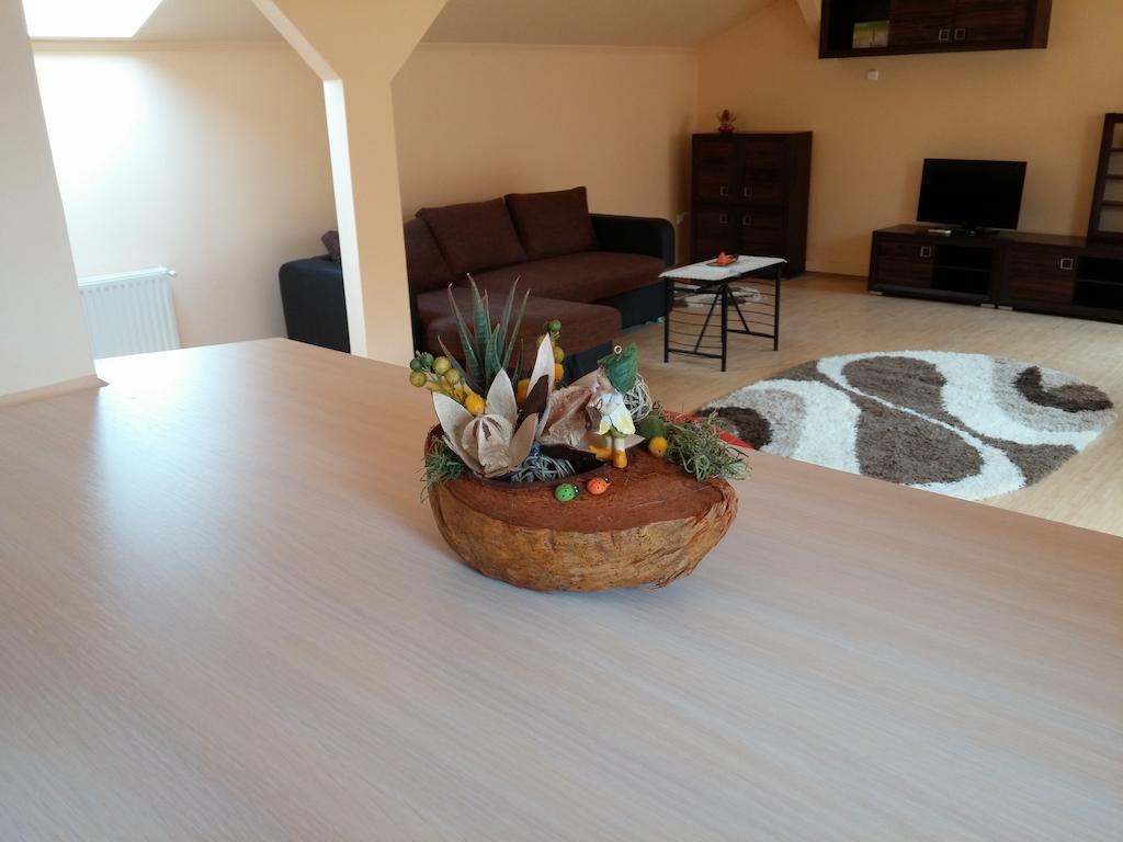 Premier Apartment Satu Mare Zewnętrze zdjęcie